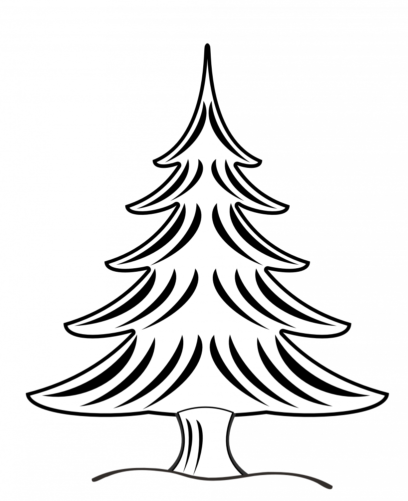Pine Tree Clipart Black And White (817x1003)