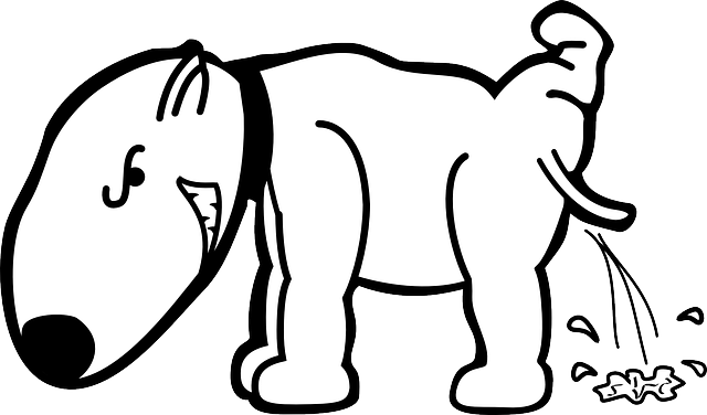 Bad Dog - Best Gift - Bull Terrier Hoodie/t-shirt/mug Black/navy/pink/white (640x376)