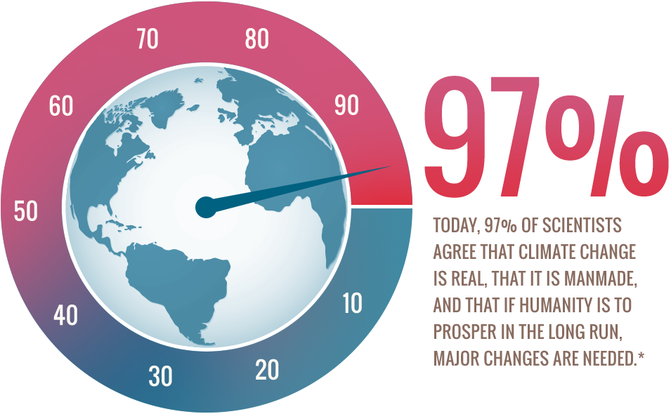 Essay Ouline Help Outline Essay Essay Help Environment - Roving Mad: Odd Encounters [book] (955x590)