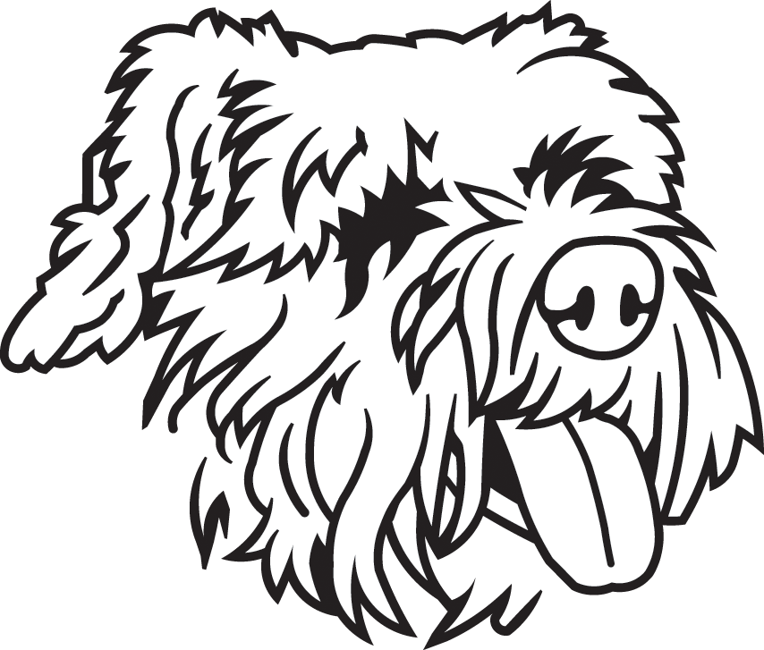 20 - Coton De Tulear (854x727)