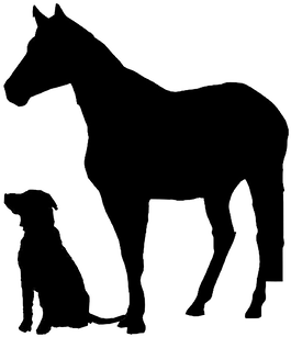 Pet Friendly - Horse (456x394)
