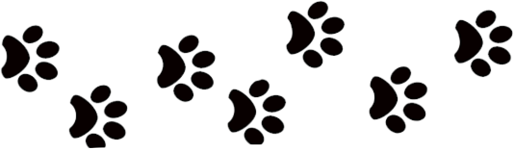 Pet Travel Scheme - Pets Black And White Png (1020x304)