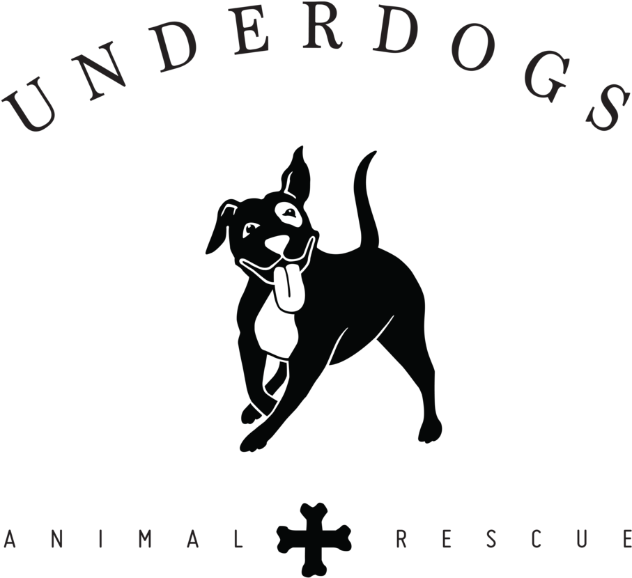Underdogs Animal Rescue - Dog Png Non Copyright (1000x913)