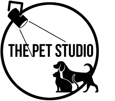 Basset Hound (450x450)