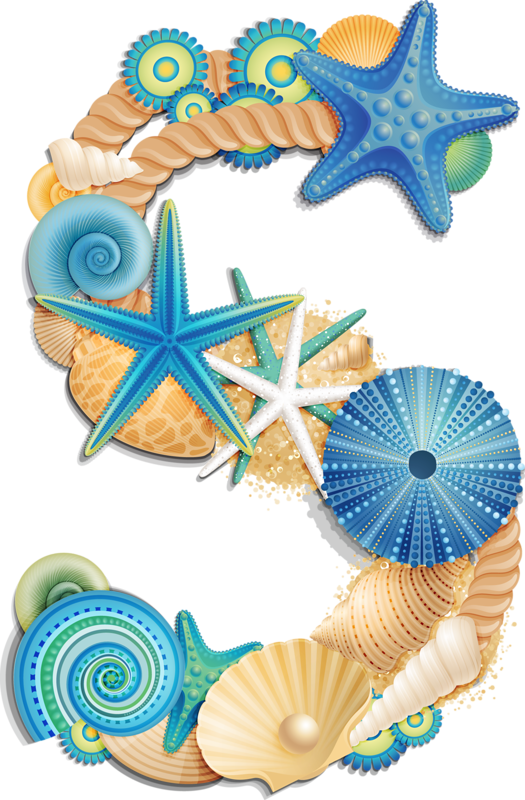 Craft - Seashell Alphabet Letters (525x800)