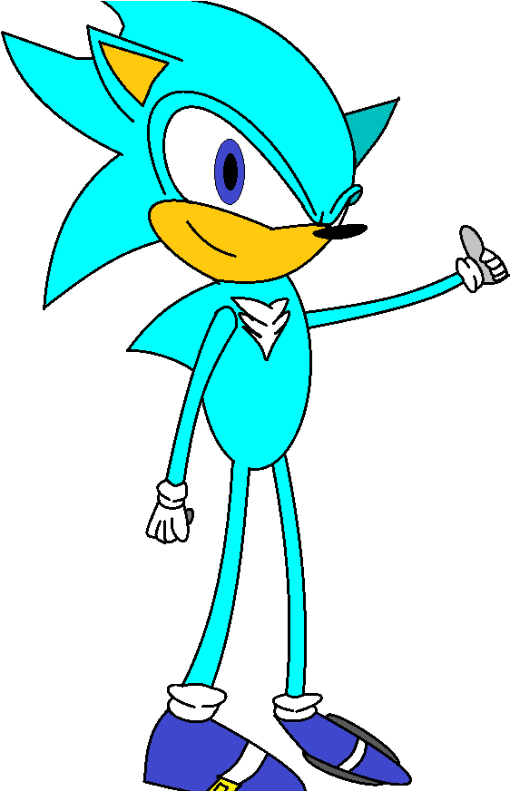 Icer The Hedgehog Bio By Icerthehedgehog293 - Cartoon (604x871)