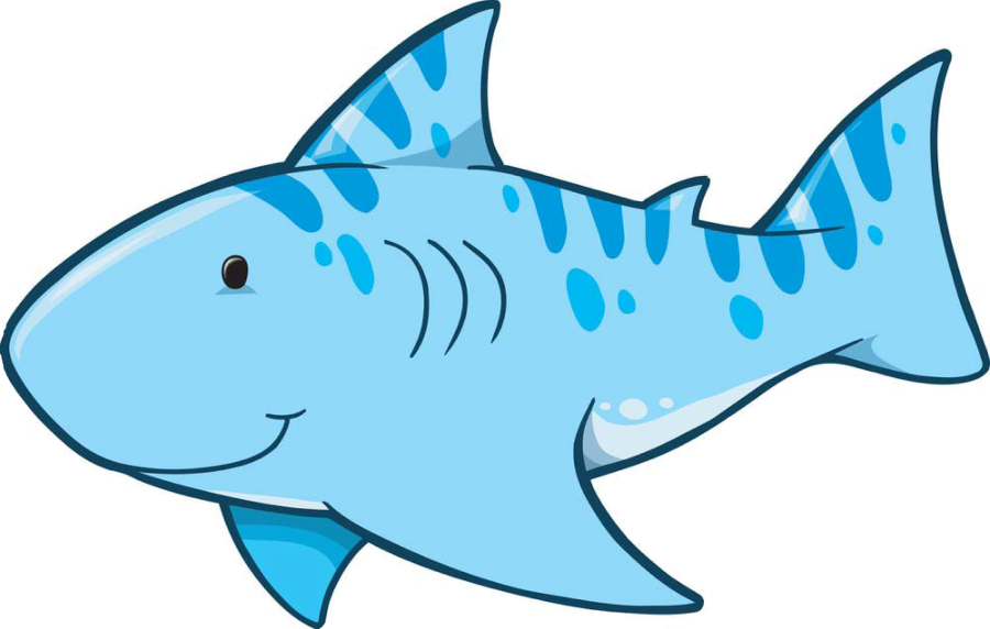 Tiger Shark - Shark Cute Clip Art (900x572)