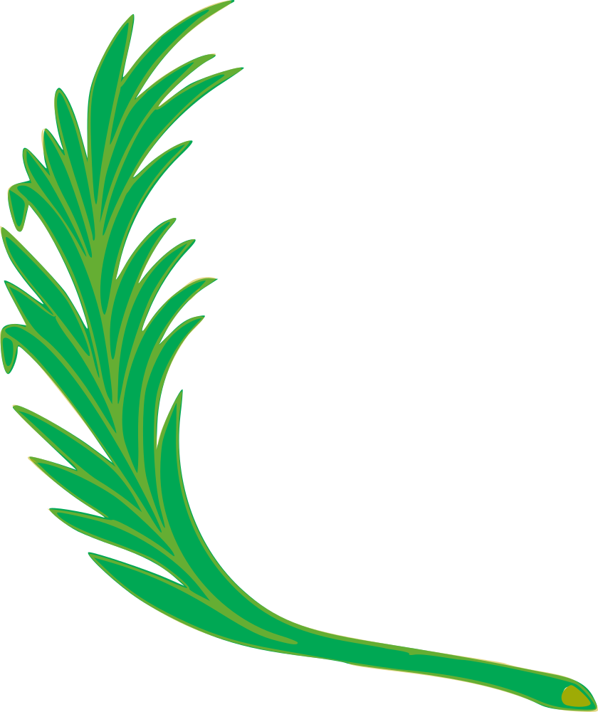 Branch - Escudo Nacional Del Peru (840x1000)