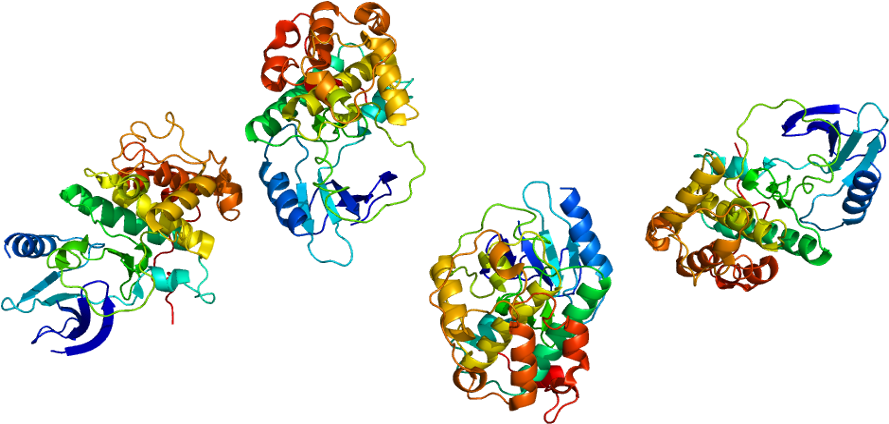 Cyclin Dependent Kinase 7 Pipeline Review H2 2017- - Cyclin-dependent Kinase 7 (938x473)