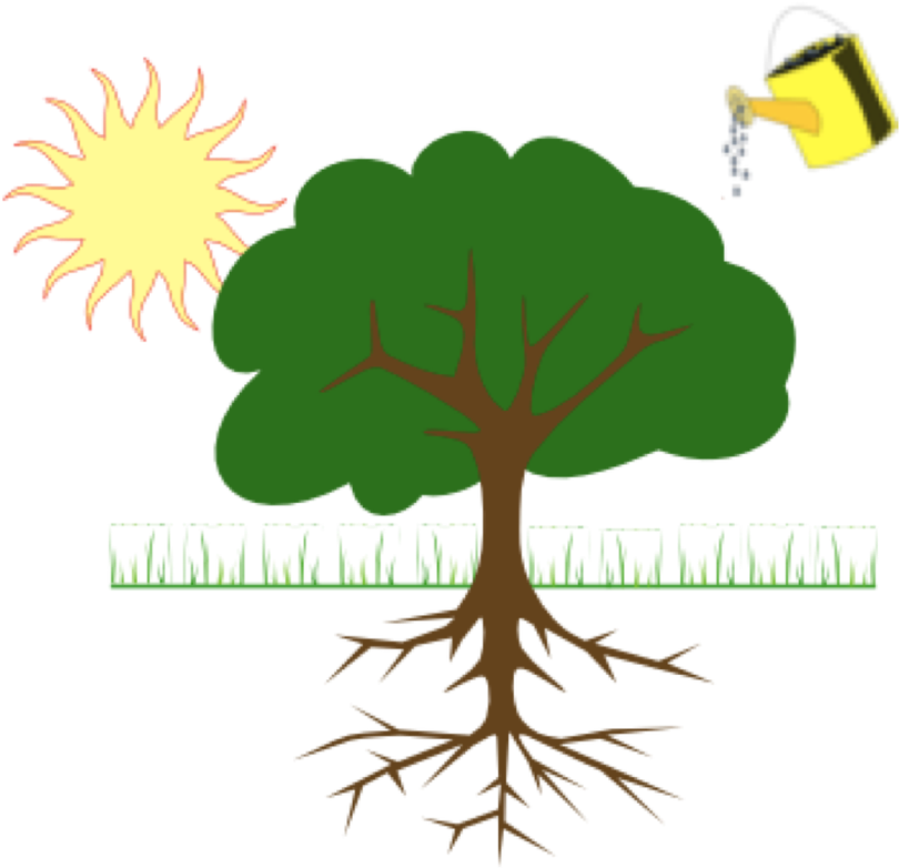 Picture - Tree Clip Art (822x800)
