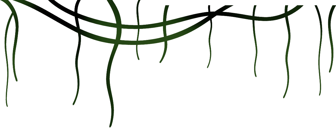Lianas De La Selva Png (1150x439)