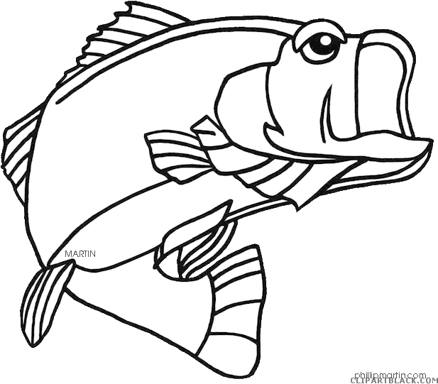 Bass Fish Animal Free Black White Clipart Images Clipartblack - Largemouth Bass Coloring Page (648x571)