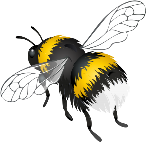 Flying Bee Png Clipart - Bee Png Clip Art (500x487)