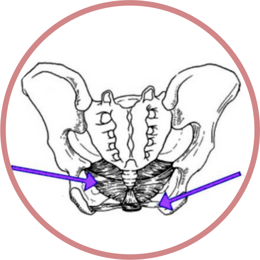 Drawing Jaw Clothing Accessories Clip Art - Eye (794x772)