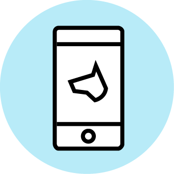 Playdate Pet Toy Feature - Dog Toy (354x354)