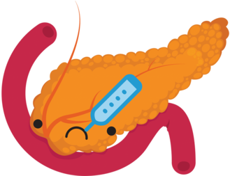 Pancreas - Cartoon Pancreas (1024x538)