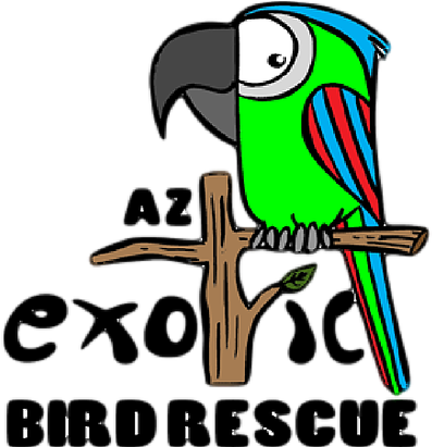 Az Exotic Bird Rescue - Az Exotic Bird Rescue, Inc. (441x410)