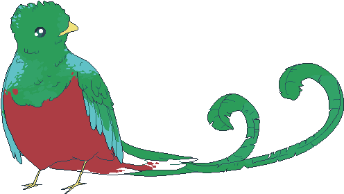 Bird Of The Week This Week - Patreon (535x325)