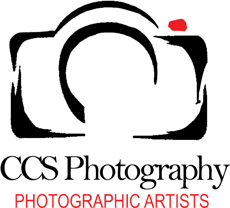Ccs Photography Logo - Moments (800x728)