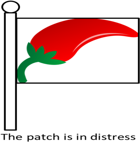 Fun With Peppers The Last Pick - Fun With Peppers The Last Pick (628x529)