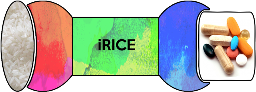 The Idea Behind This Project Was To Create An Adhesion - Sho Nutrition Sho Energy+ B Vitamins & Matcha For (901x381)