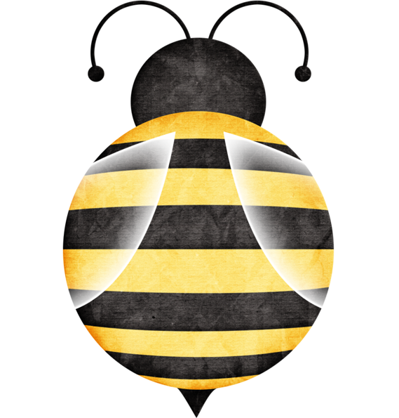 B *✿* Happy Camper - Camping (569x595)