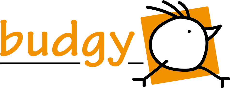 Budgy Campers - Campervan (1000x395)