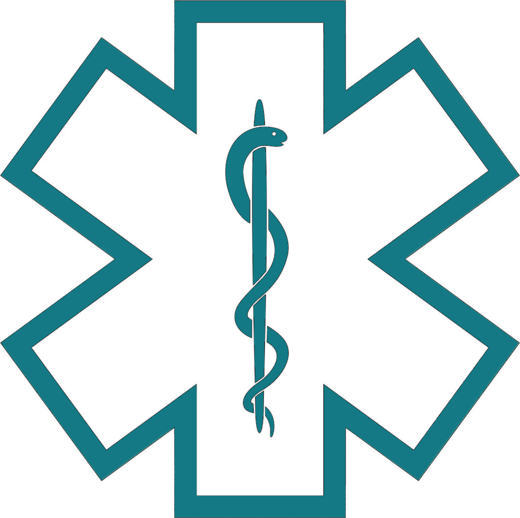 Star Of Life Outline - Star Of Life White (1027x1024)