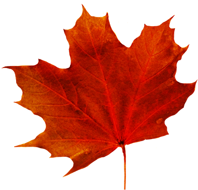 Fall Leaves Clip Art - Fall Leaf With Transparent Background (413x383)