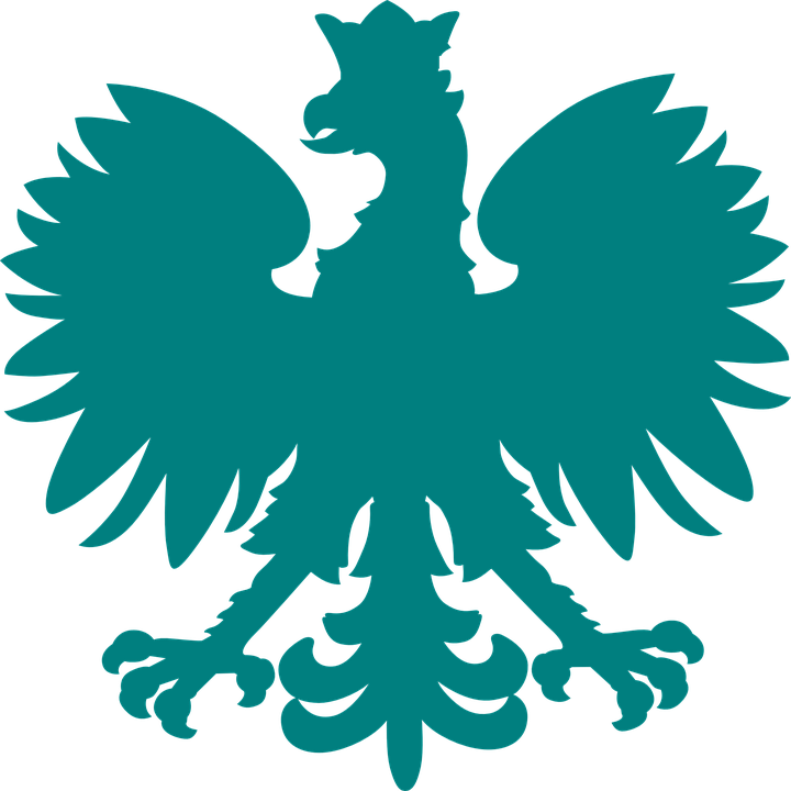 Eagle Silhouette Cliparts 13, Buy Clip Art - Polska Eagle (720x720)