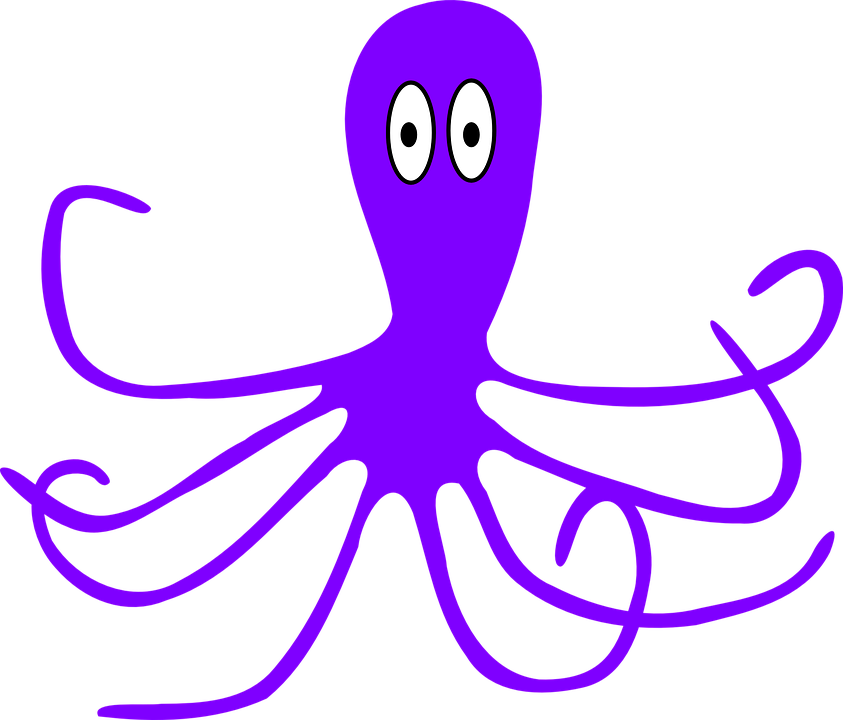 Octopus Cartoon 13, Buy Clip Art - Facts About Octopus For Preschoolers (843x720)