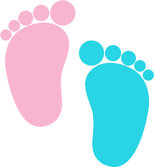 Feetpb - Pink And Blue Baby Feet (729x730)