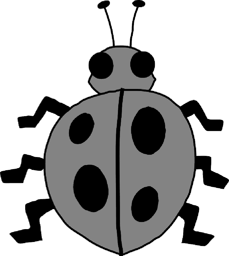 Ladybug, Animal, Bug, Cute, Insect, Beetle, Ladybird - Bug Clip Art (800x895)