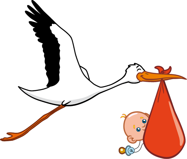 Storks Baby - Stork Carrying Baby Png (640x544)
