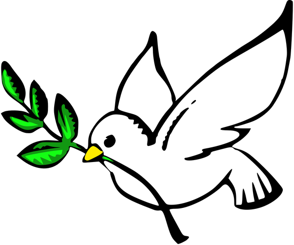 Faiz G Is Gonna To Provide Videos On Help, Islam, Gaming - Dove Peace (602x502)