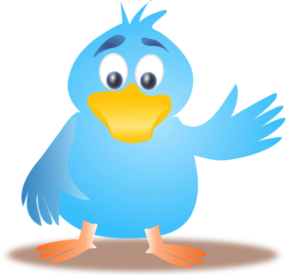 Goodbye For Now - Bird Waving Clipart (975x944)