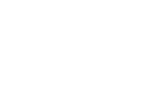 Samuel Romirowsky, (500x375)