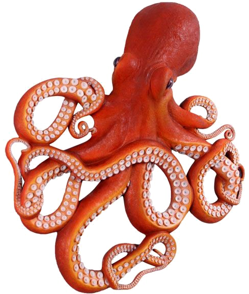 Octopus Png Clipart - Octopus (650x575)