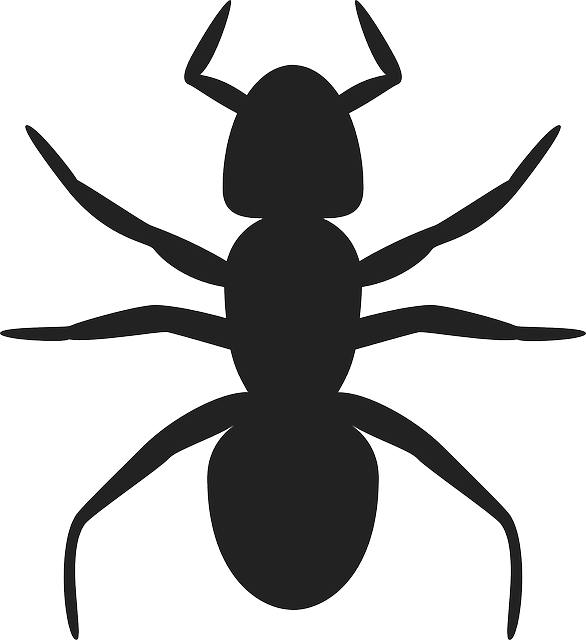 Icon, Outline, Drawing, Glossy, Cartoon, Ant - Ant Outline (586x640)