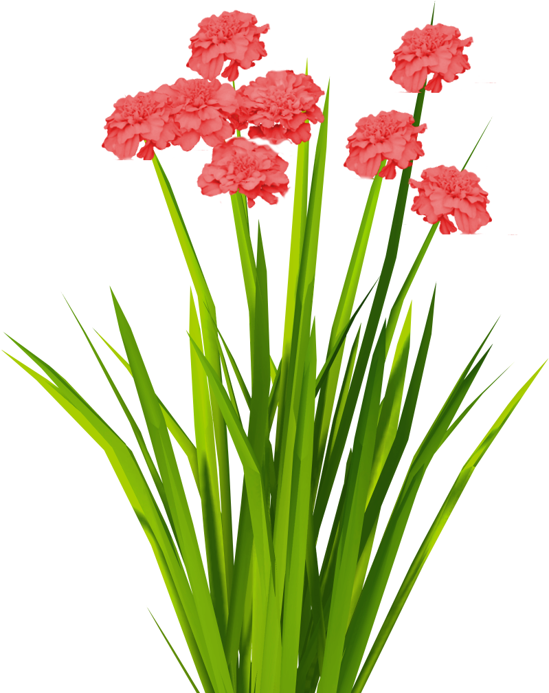 New Textures Billboard Grass - Flower Game Texture (1024x1024)