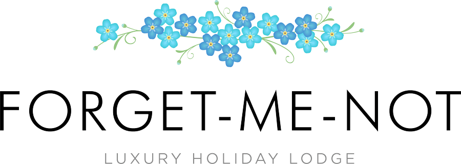 Forget Me Nots Clipart (900x320)