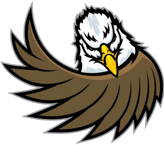 Photo - Eagle Wing (530x532)