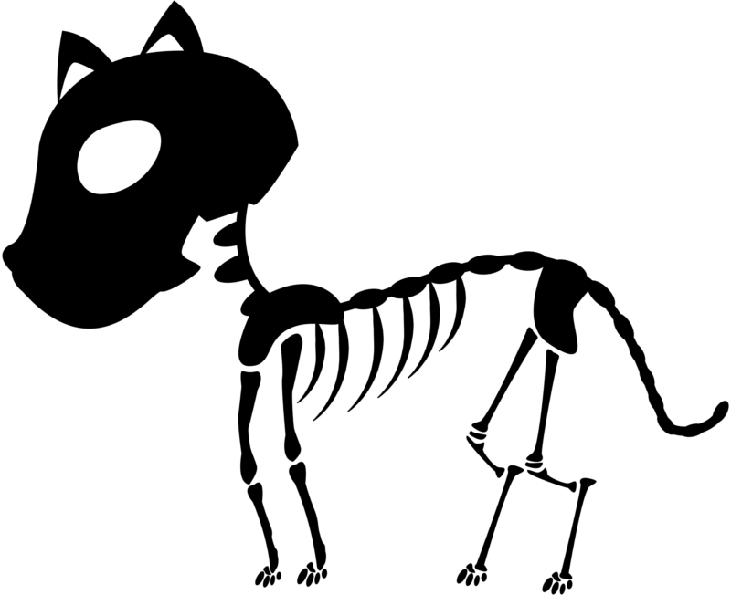 Free Skeleton Clipart Black And White Images Free Download - Skeleton Cat Png (800x652)