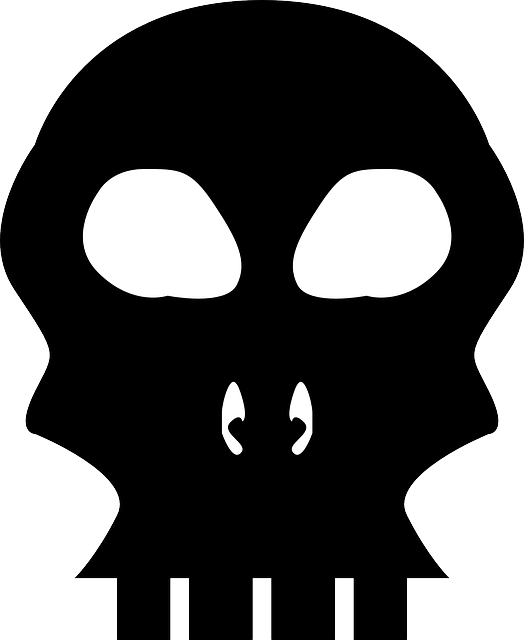 Bones, Head, Silhouette, Skull, Skeleton - Craneo Silueta Png (1048x1280)