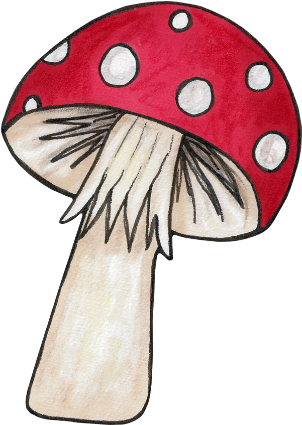 Mushroom For An Echanted Woodlands Party - Paddenstoel Prent (612x863)