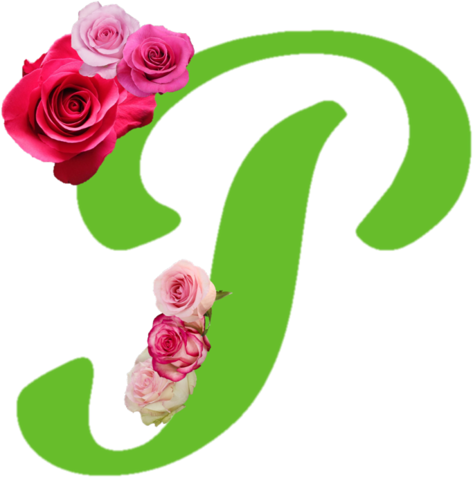 Mother's Day 2017 Is Coming - Garden Roses (800x779)