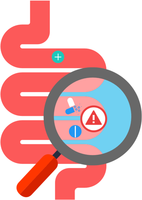 Drugs Interacting In Stomach - Digestive Tract Vector (515x720)