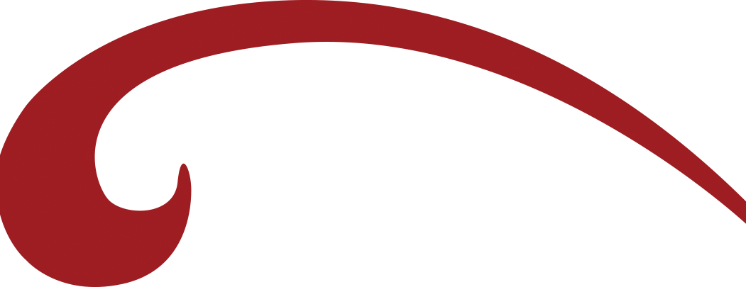 The Campaign's Goal Is To Reconstruct And Expand Kaua'i's - The Campaign's Goal Is To Reconstruct And Expand Kaua'i's (1051x405)