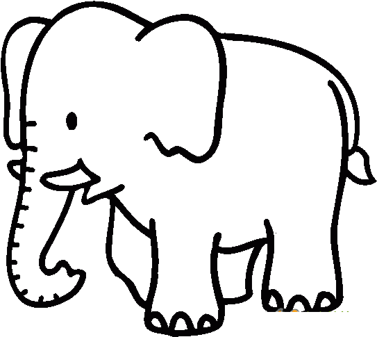 African Elephant Coloring Book Child Clip Art - Elephant Colouring Pages (556x500)