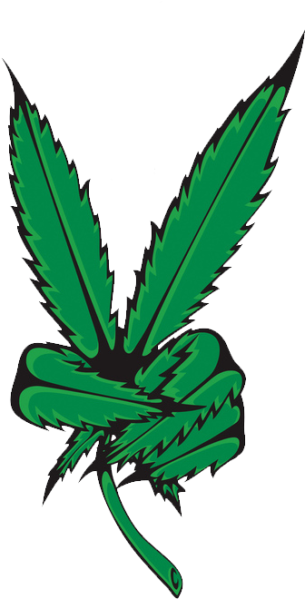 Weed - Tumblr - Weed Png (357x750)